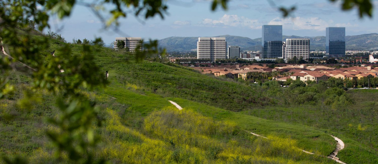 Irvine hard money lending